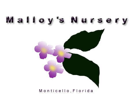 Malloy Nursery
